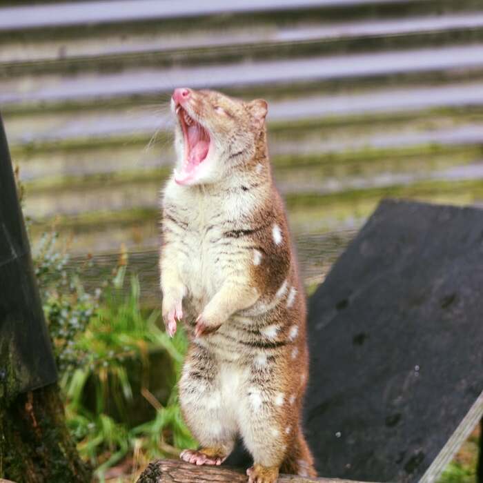 ,  ,  ,  , , , 