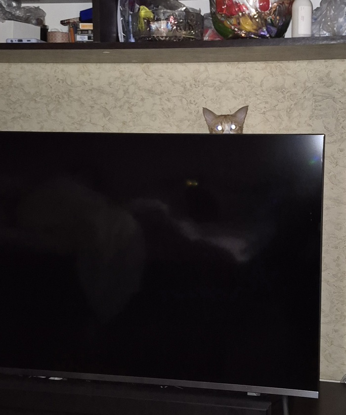   ...  , ,  , 