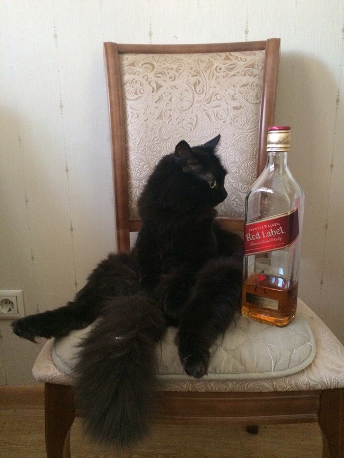 ����� � 13 �����, �� ���� �������� � ��������� ��������� ��� � ����� ������ ( � ��� ��� ������ ��������� ��� ���� � ����� �����, � ������� ��� ������ ����), ������� � ��������� ������ ������� ��� ���� :( �� ������ �� ��� ������� �������� � �����