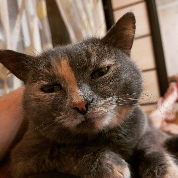 ����� �� ���� ��������: ������ ��� ������