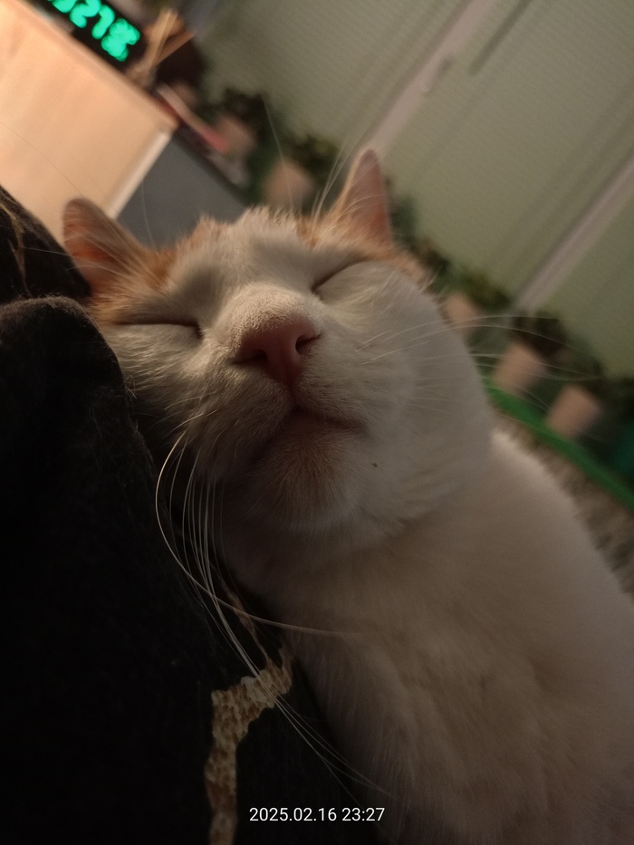    :    , , ,  , ,  ,   
