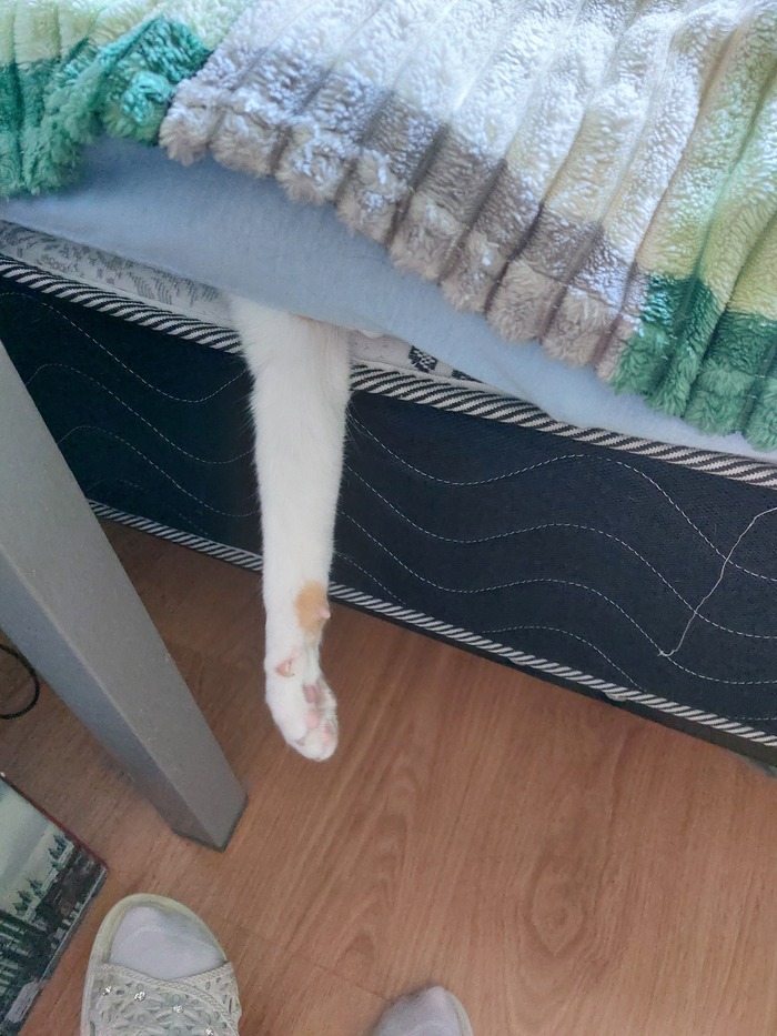    :    , , ,  , ,  ,   , 