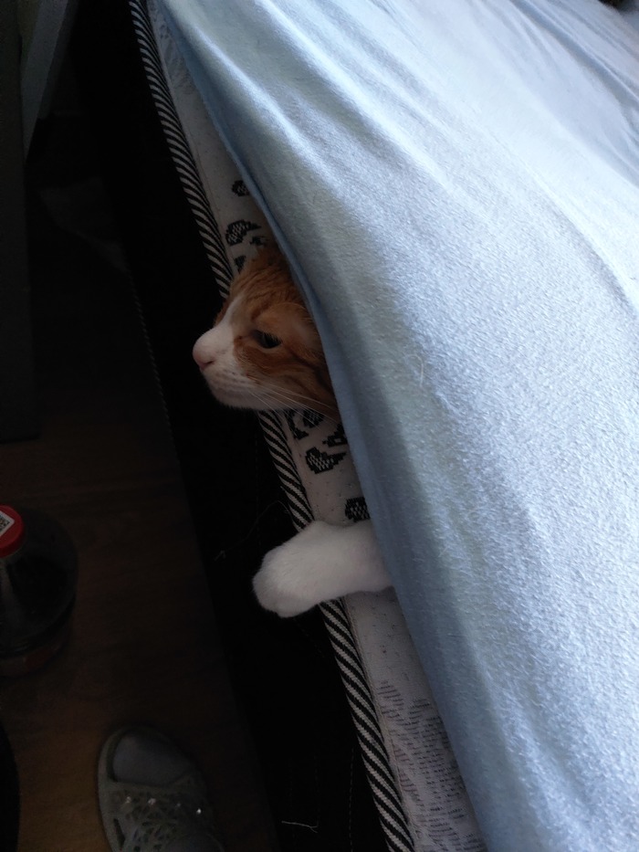    :    , , ,  , ,  ,   , 