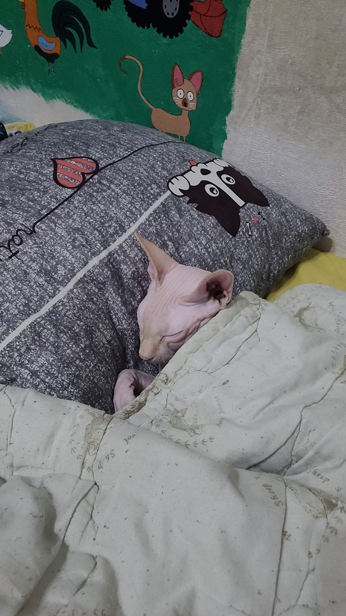 ��������� �������))