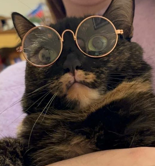    :    , , , ,  , 