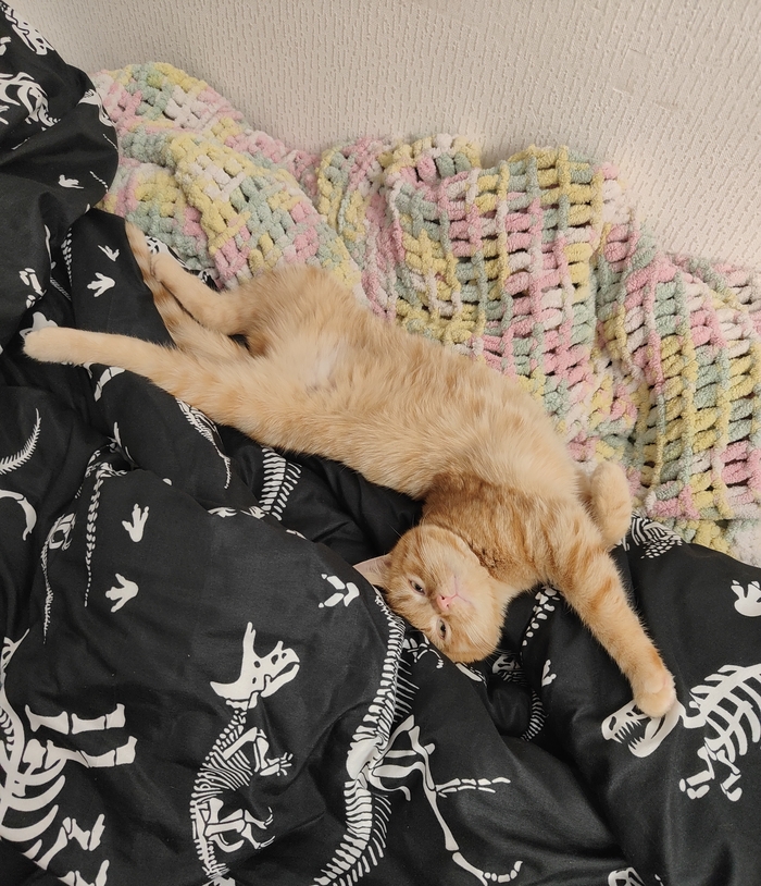 Удивительные раскопки