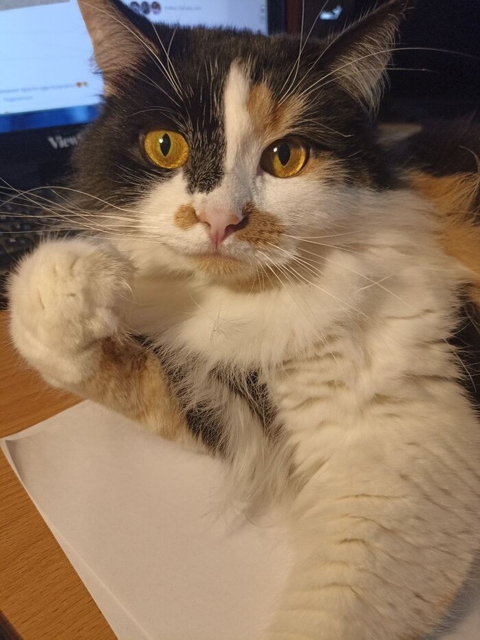    :    , , ,  , ,  ,   ,  ,   , 