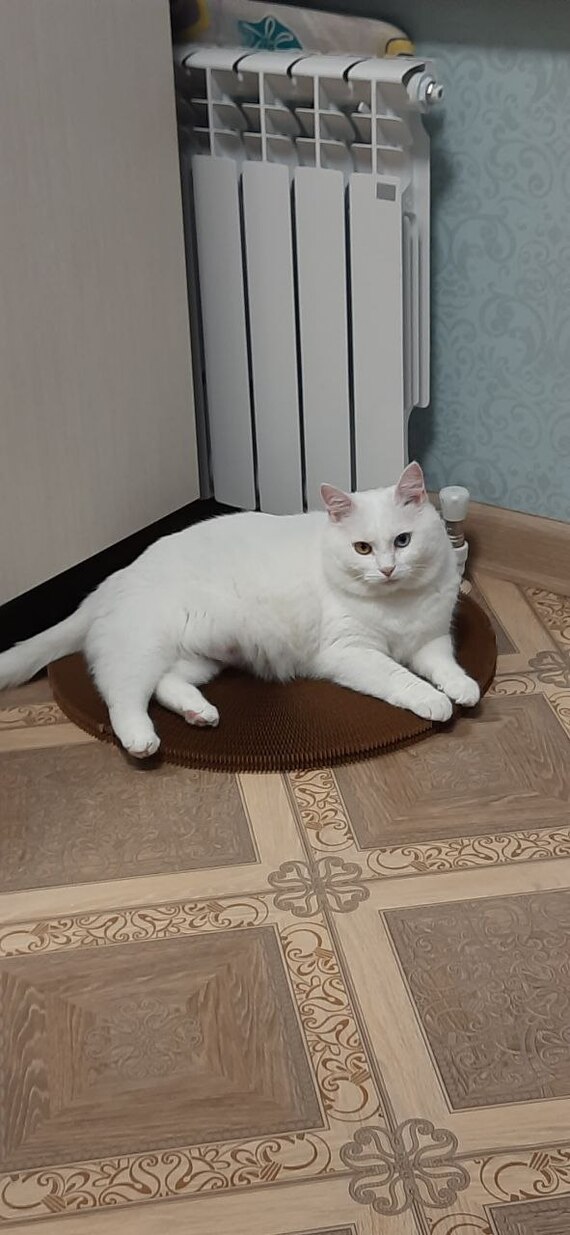    :    , , ,  , ,  ,   , 