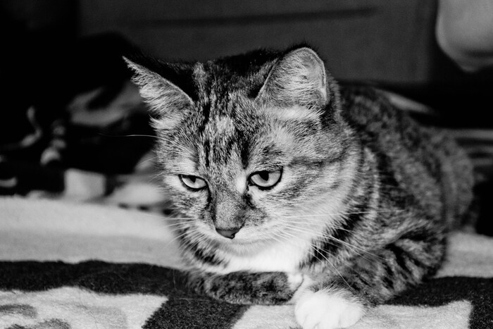 ����� �� ���� ��������: ������ ��� ������