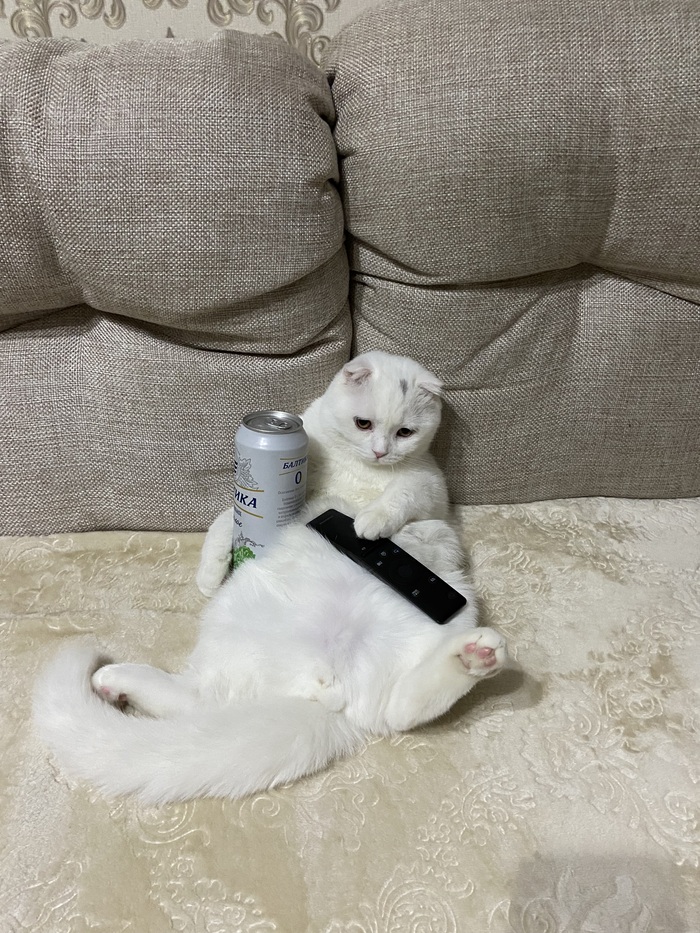    :    , , ,  , ,  ,   