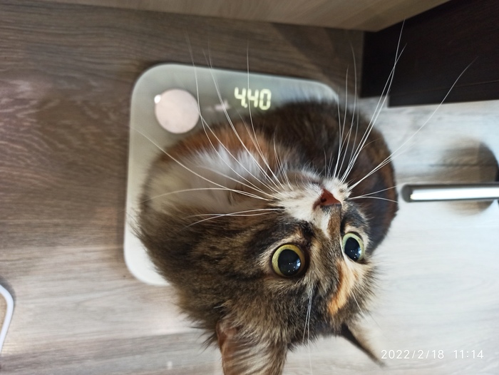    :    , , ,  , ,  ,   , 