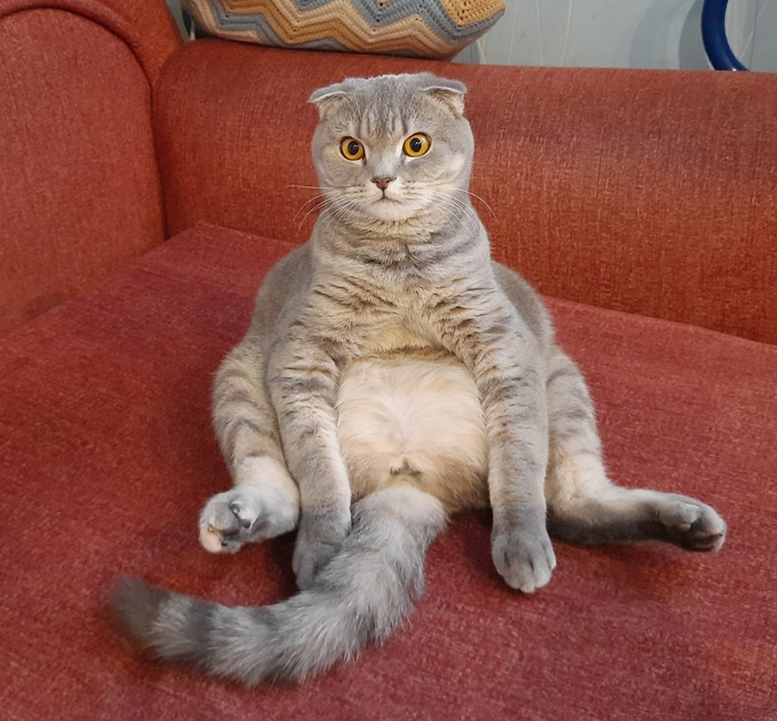    :    , , ,  , ,  ,   