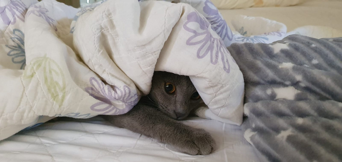 "не будите меня"