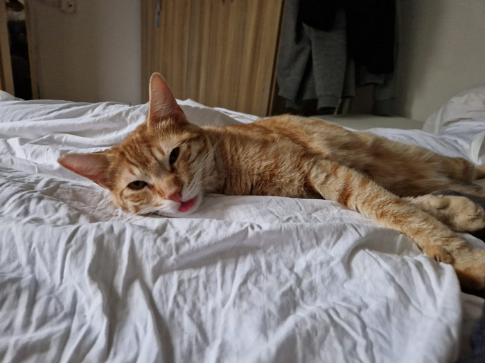 балдеет в самом кайфовом месте в доме - в постели.