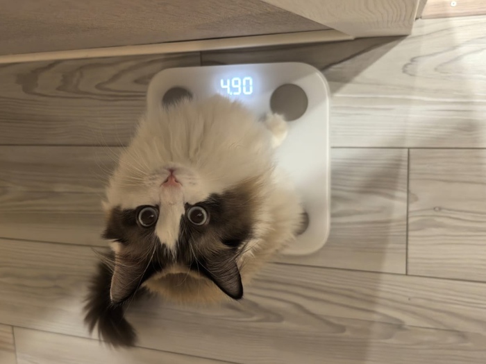 Я к лету похудел, а ты?)