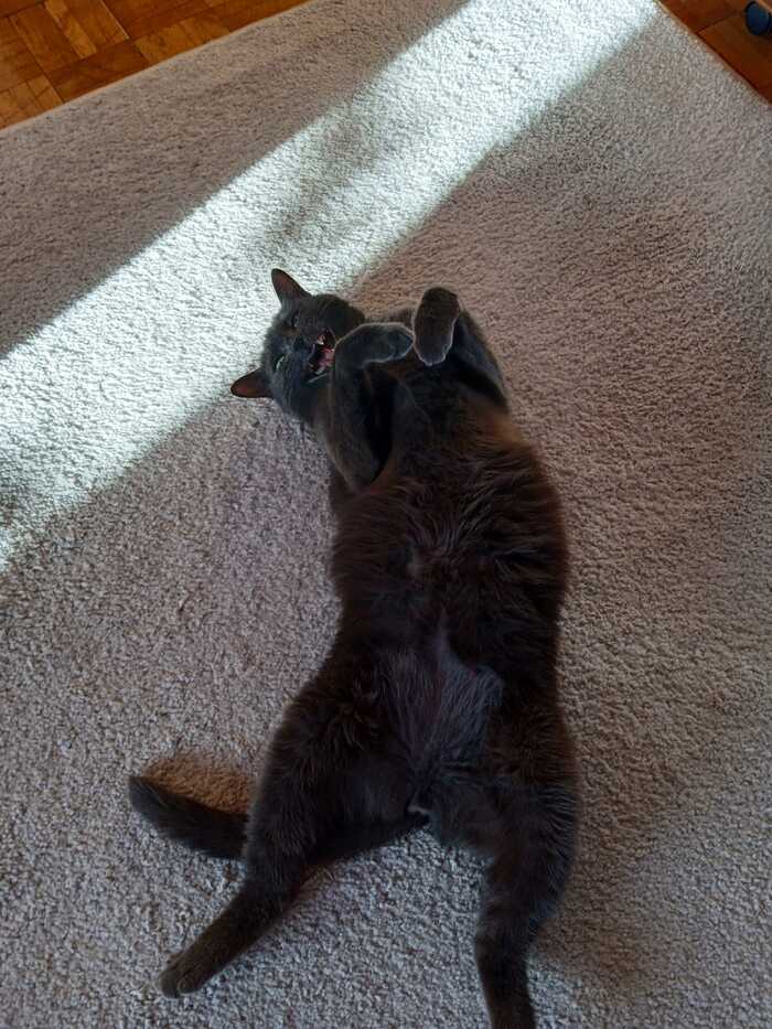    :    , , ,  , ,  ,   
