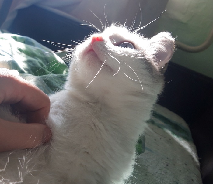    :    , , ,  , ,  ,   , 