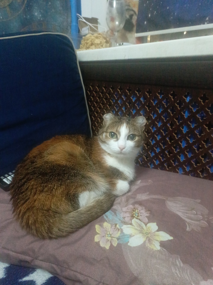 ����� �� ���� ��������: ������ ��� ������