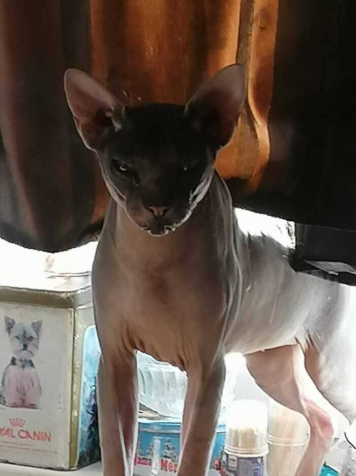    :    , , ,  , ,  ,   
