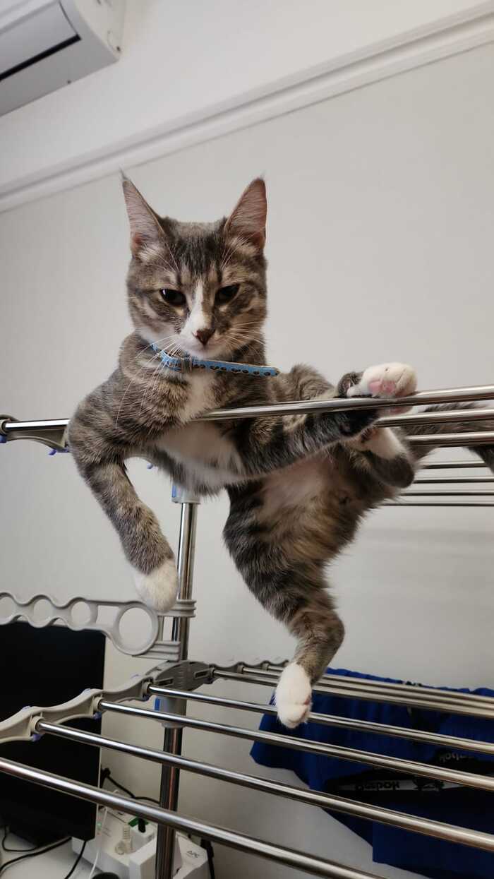    :    , , ,  , ,  ,   , 