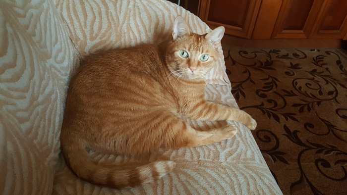 ����� �� ���� ��������: ������ ��� ������