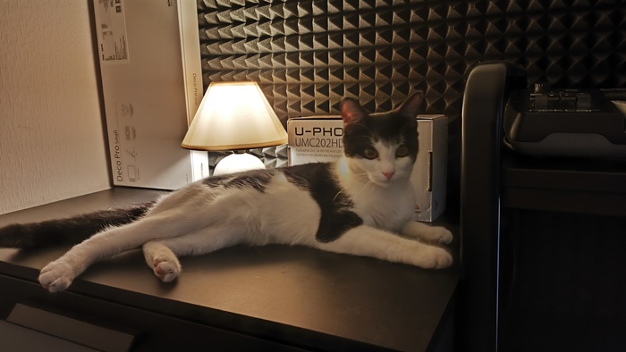    :    , , ,  , ,  ,   