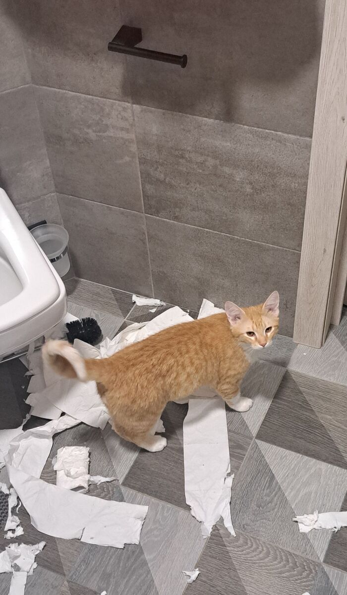 И что ты мне сделаешь?