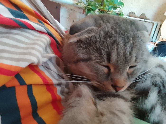    ! , , ,  , , , 1 , , 