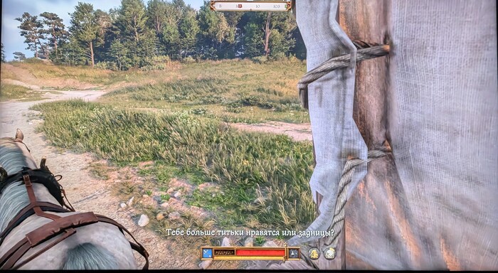 Kingdom come: Deliverance 2.        , Kingdom Come: Deliverance II, 
