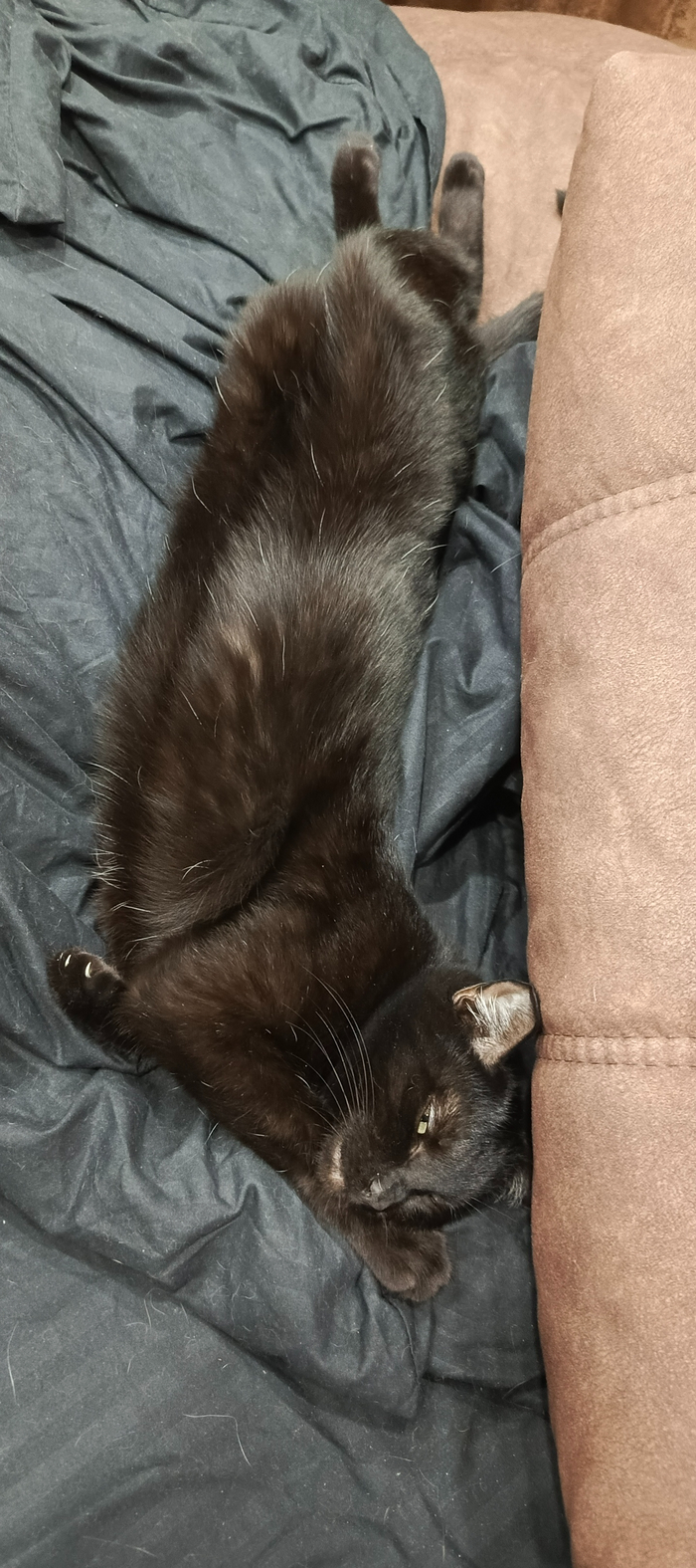 ���� ����� ������������� �� ����, ���� ��������� �� ����! ���� �� ����� �������. 