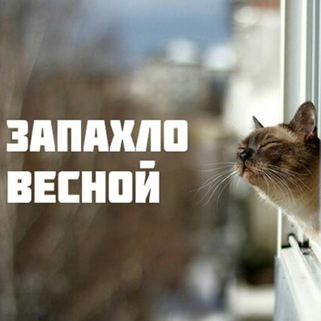   , , , , , , , , , , , ,   ,  