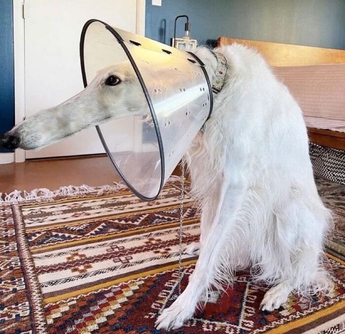 -       , ,  