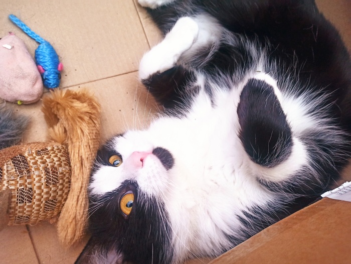 ,  !    ,       !     ! ^^ 