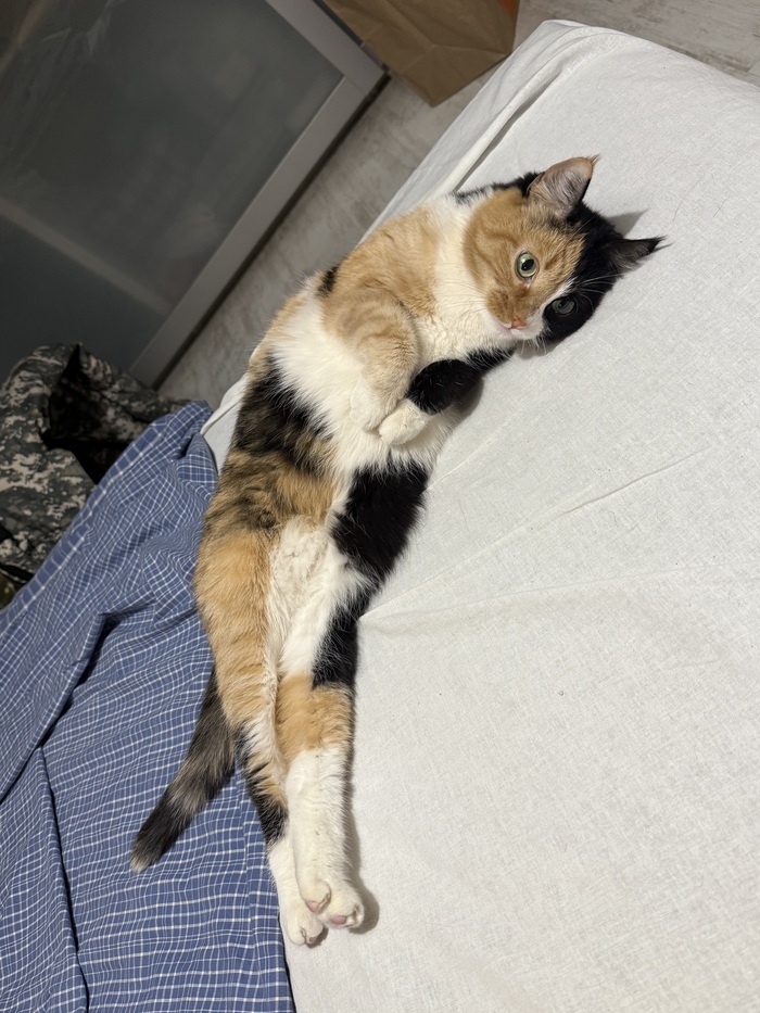      ,  , ,  , ,   ,  