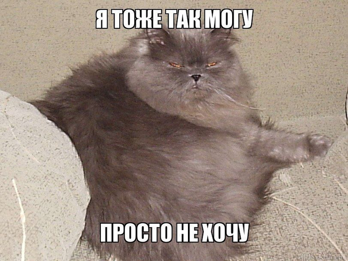    :   