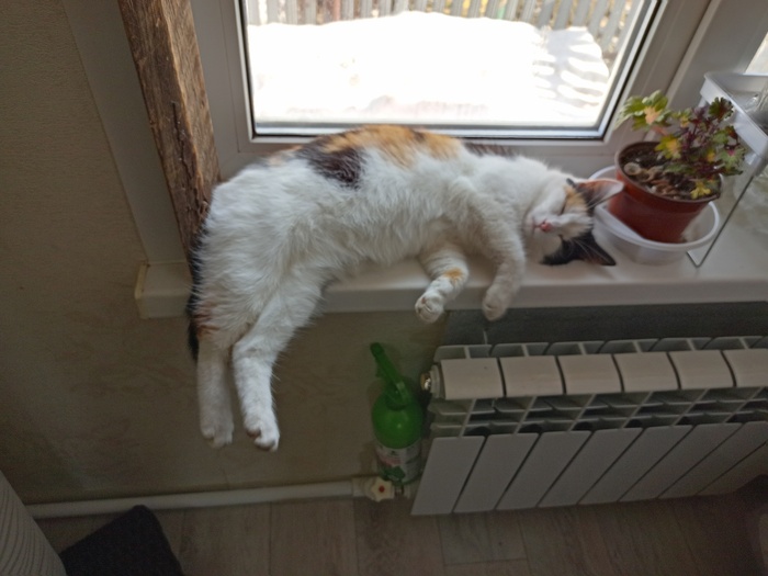    :    , , ,  , ,  ,   , 