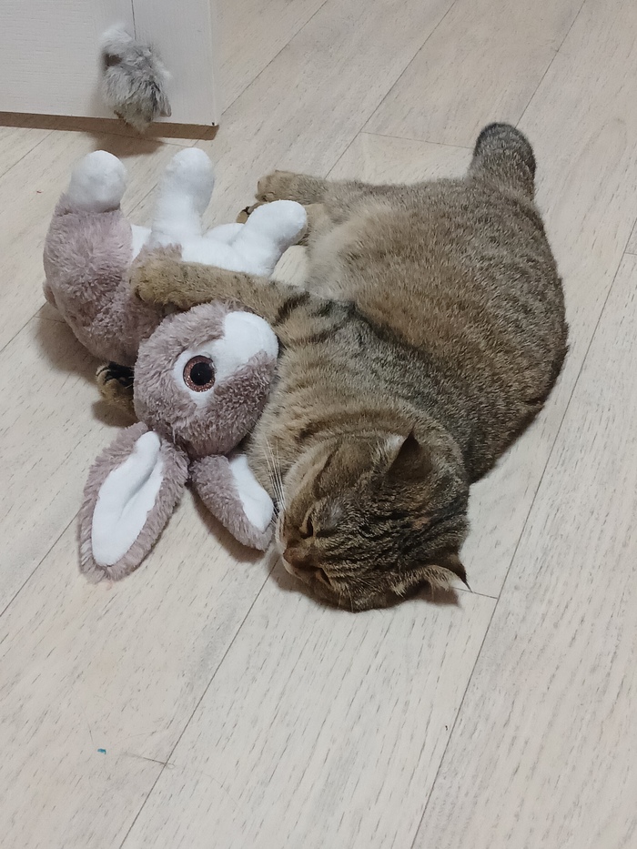 В детстве у Лулу был братик серый, и поэтому мы зовём игрушку Братэла) она любит с ним играть в Кусь.