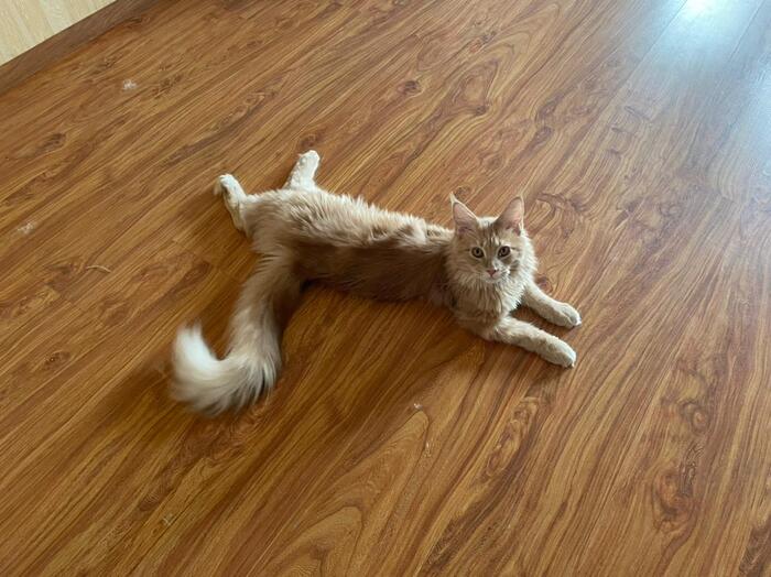 на фото ему 7 месяцев.