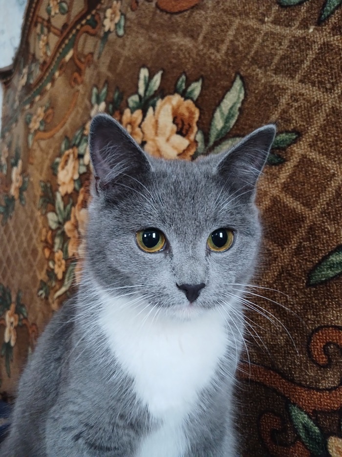 Венеамина(6 месяцев)