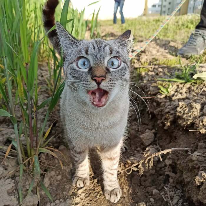    :    , , ,  , ,  ,   , 