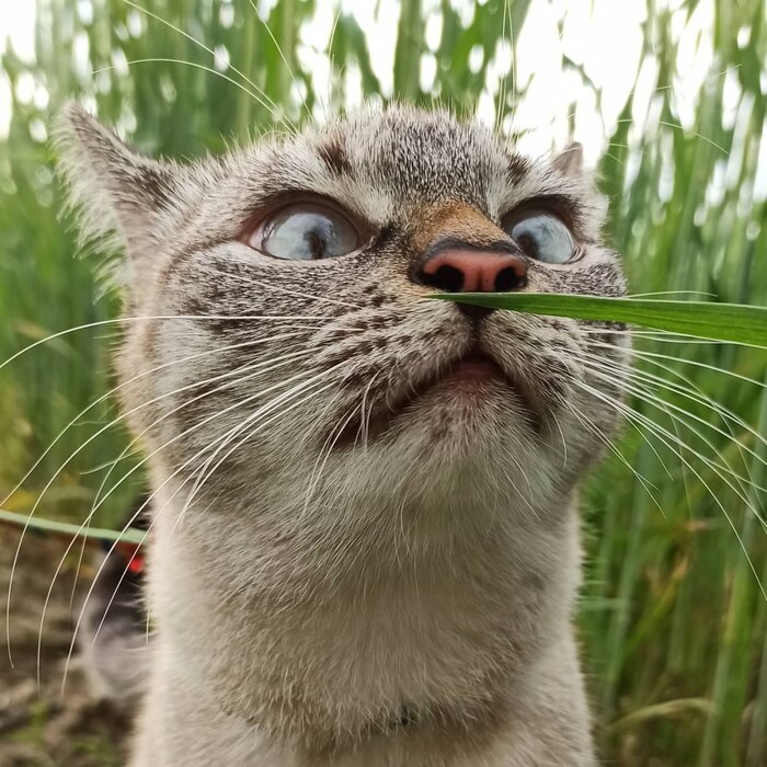    :    , , ,  , ,  ,   , 