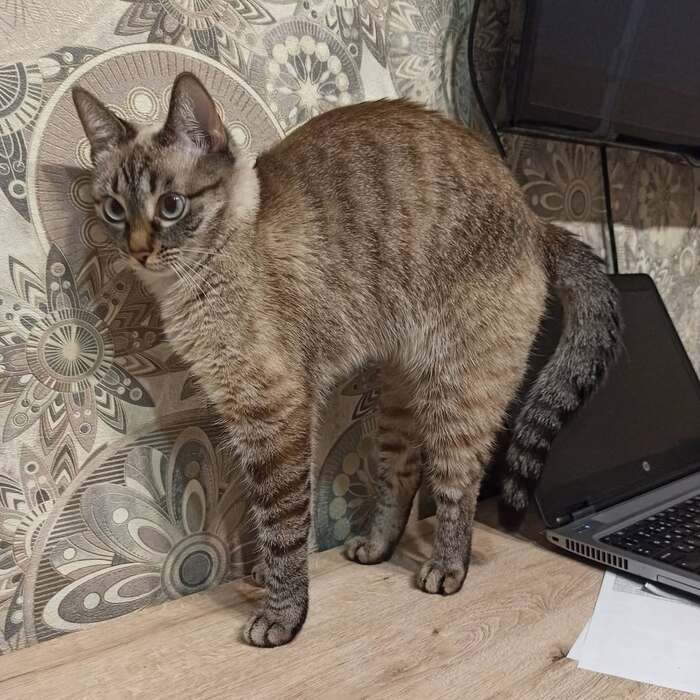 �� ��������