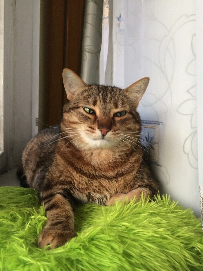 ����� �� ���� ��������: ������ ��� ������