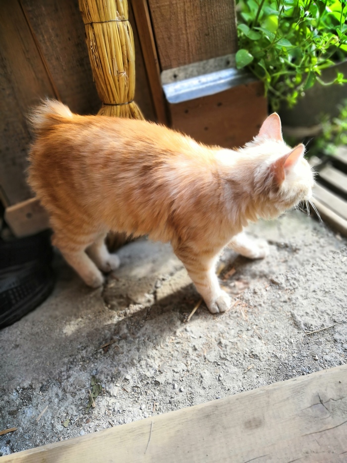 одна из первых наших встреч