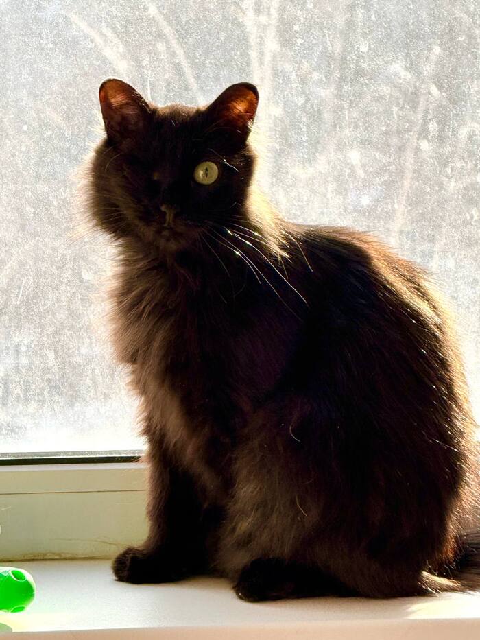  , 3,   ,      . &#x2764;&#xFE0F;