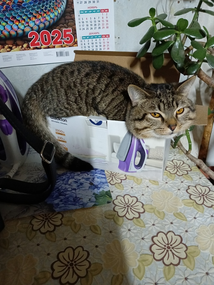    :    , , ,  , ,  ,   