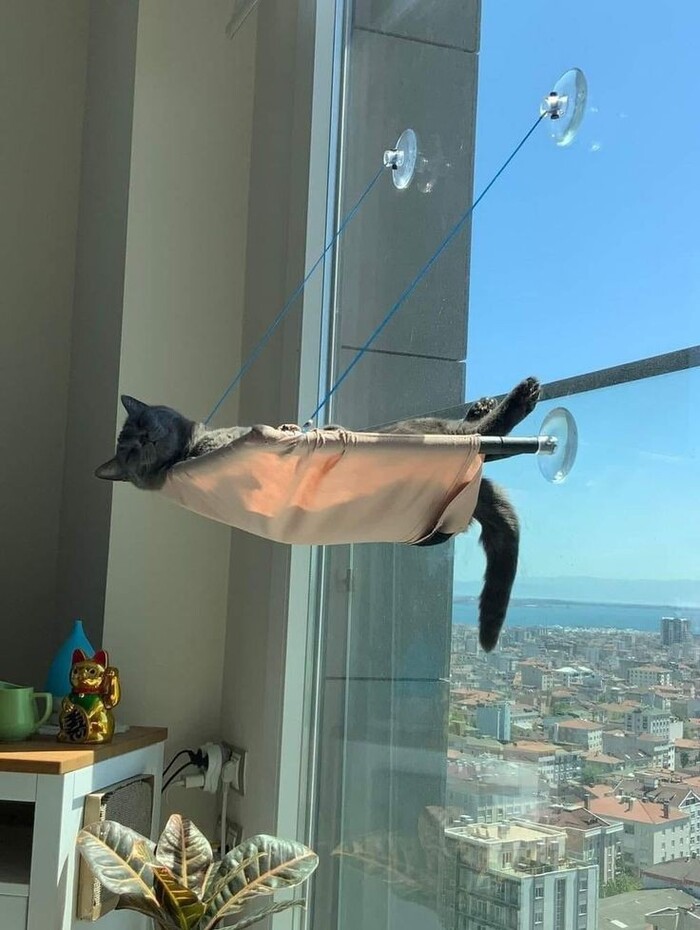  ,  ,  , , ,   , , , 