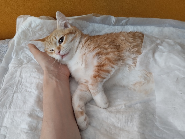       , , , , ,   