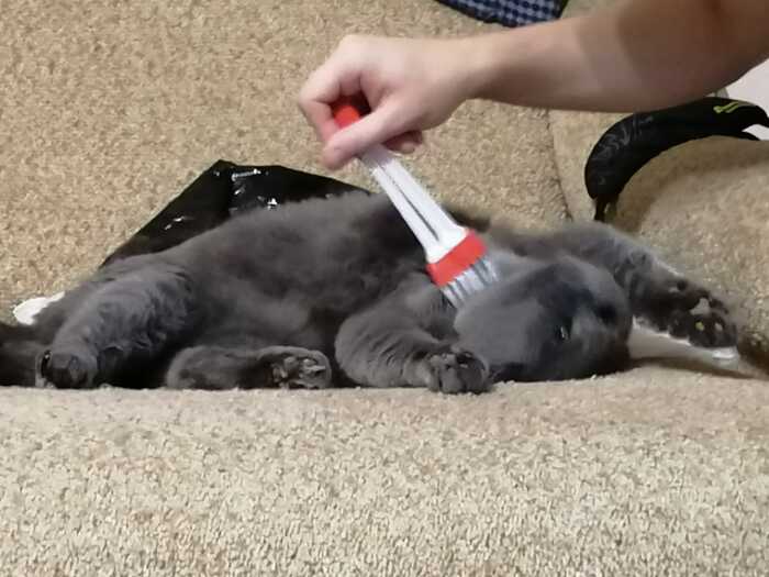    :    , , ,  , ,  ,   , 