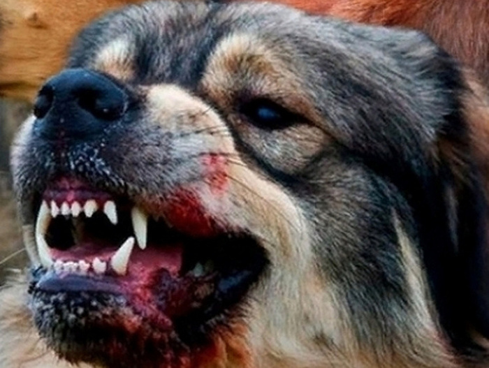 � �������������� ����� �������� ����.